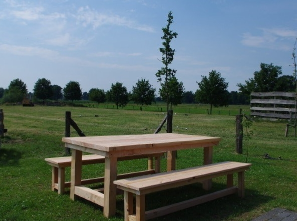 Gartenmöbel-Set Picknick Sylt